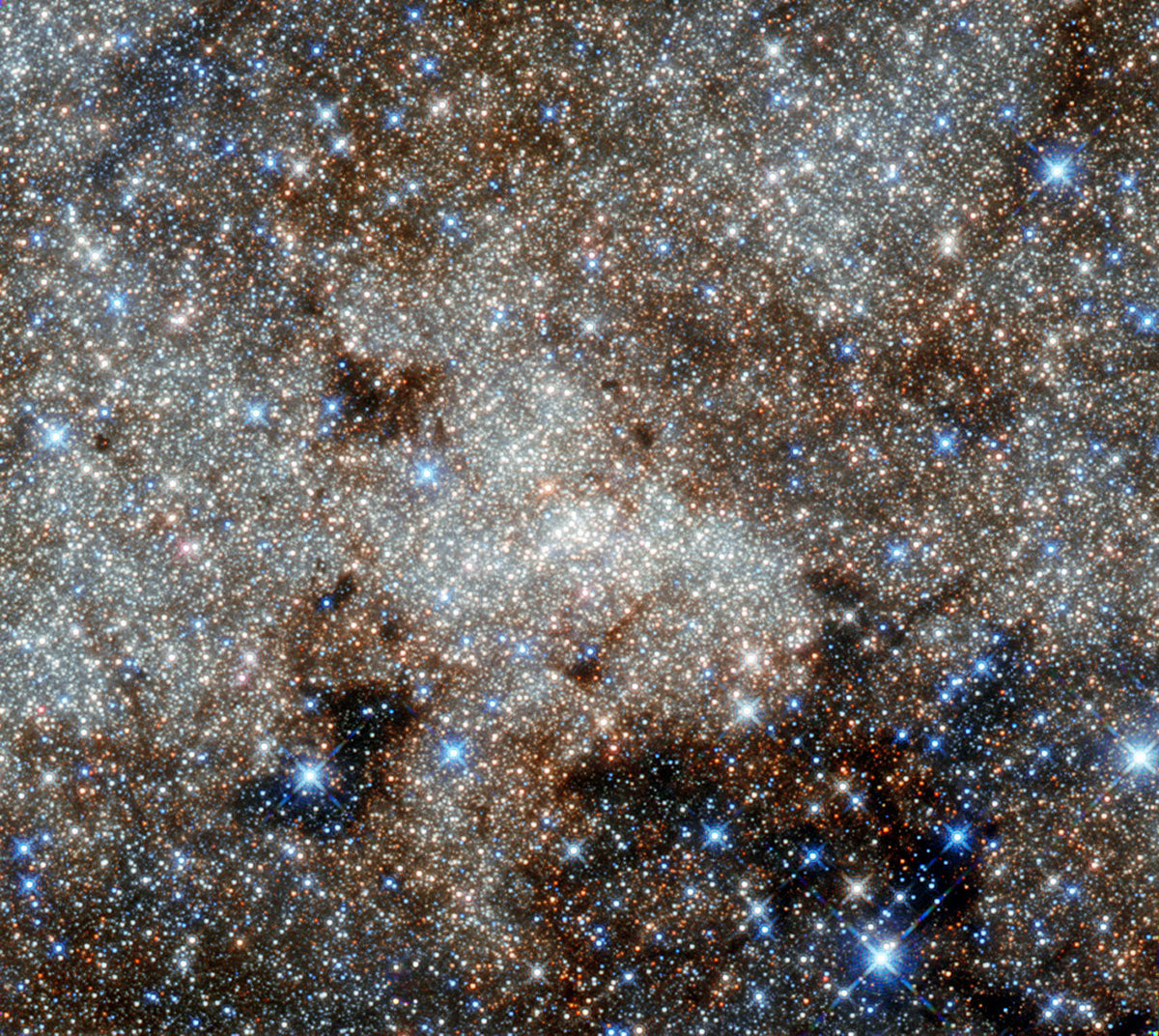 The Celestial Archive: Zodiac Edition