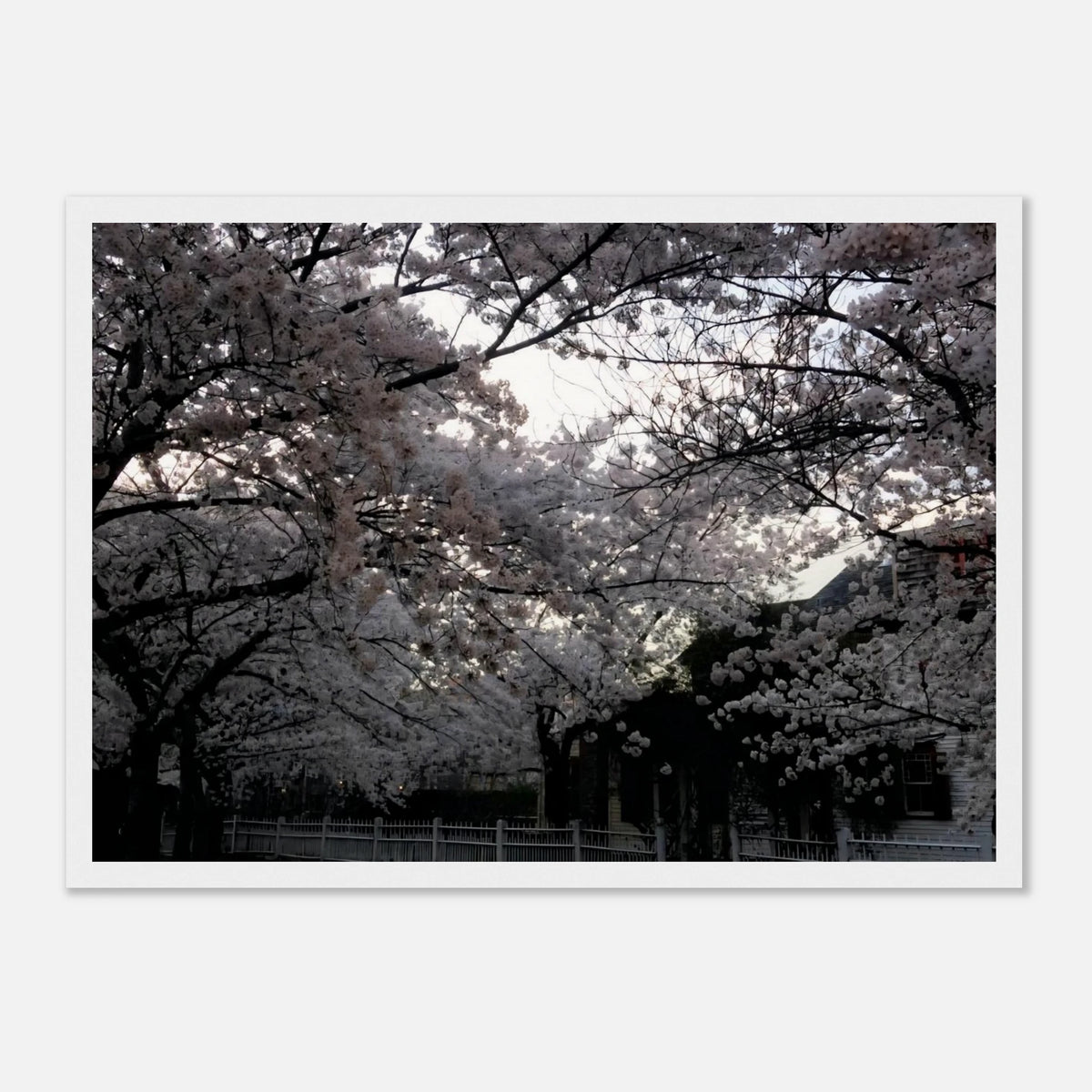 1c8ff49f-95e6-4ac8-b17c-cc0ce730d89e