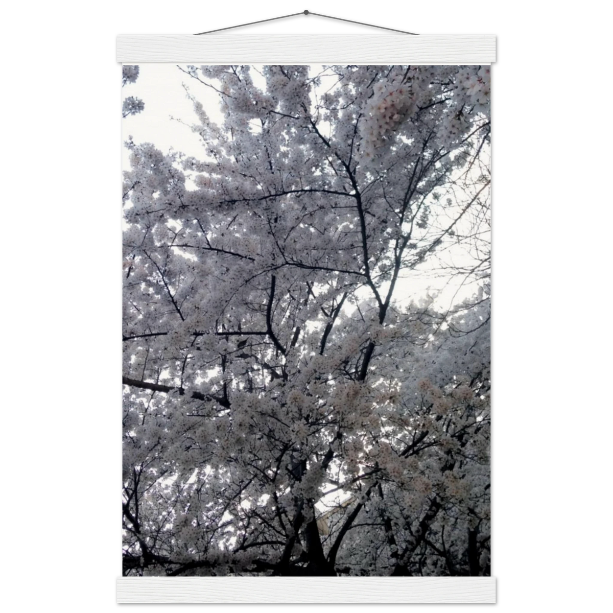 6868c399-ba43-4c7c-a207-87a12c9f5bb2