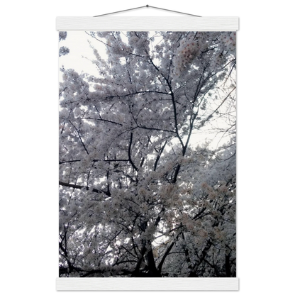 6868c399-ba43-4c7c-a207-87a12c9f5bb2