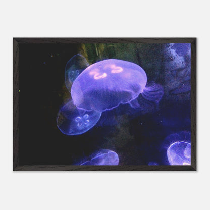 6ad5704f-7016-47f9-bf0e-b4b8ef369af5