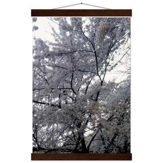 cec481eb-1839-4061-8a91-f51bce7981b1