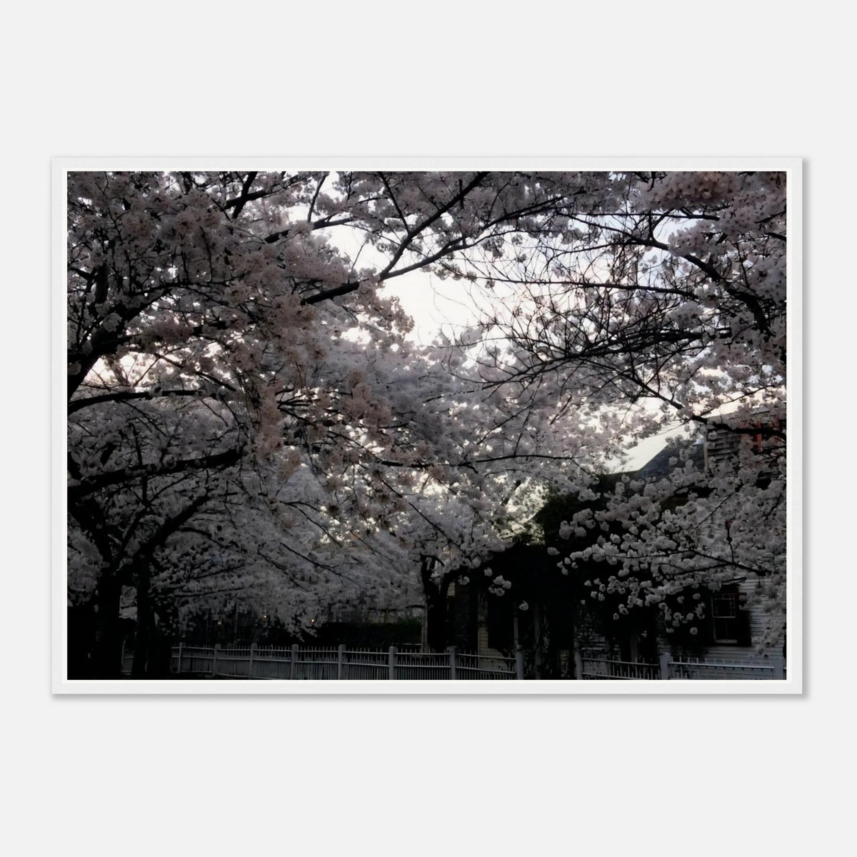 d2a5c3b4-99f0-4d09-95a8-cd6e54b1d936